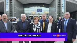 Vizită de lucru