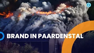 Brand in paardenstal Aardenburg: stal niet meer te redden