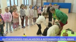 Kutyaterápiás foglalkozás a református iskolában