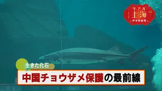 「リアル上海　～中日新視界～」　#59 　　2026.8.15OA分