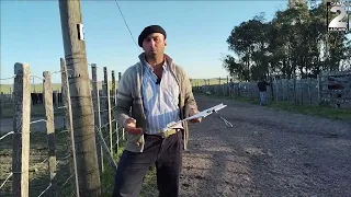 Informe día viernes - Mauro Beledo