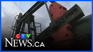 High oil prices raising cost of living, but lining Alberta's coffers: analyst | Alberta Primetime
