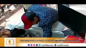 Robos generan alarma en Pangoa