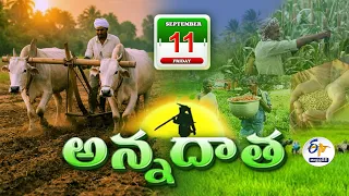 అన్నదాత | 11th September "2026 | Annadata | Full Bulletin | ETV Andhra Pradesh