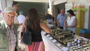 Il Molise produce la metà della raccolta nazionale di tartufo bianco - 05/03/2026