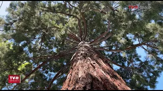 Botanická záhrada v Banskej Štiavnici - upútavka