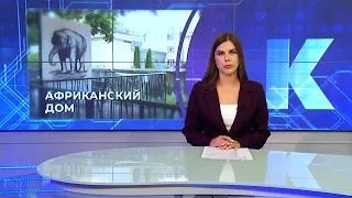 Новости Калининграда — итоги дня, 17 августа 2026 каскад тв
