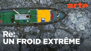 Un froid polaire frappe l'Europe du Nord | ARTE Regards