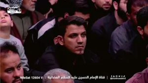 طريق أمير المؤمنين عليه السلام ليس سهلاً ، الشيخ زمان الحسناوي