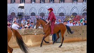 2026 Palio dell'Assunta, fourth trial