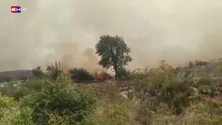 Požar u Trebinju