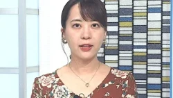 Governor Urges Wakayama Residents to Beware of "Secondary Damage" Following Potential Data Breach...