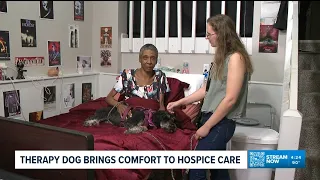 Therapy dog brings comfort to hospice patient
