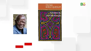 Olympe Bhêly-Quenum : 12 œuvres, 12 stations | Bénin TV
