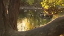 Non-profit seeking volunteers to help clean up ‘overlooked’ Denver park