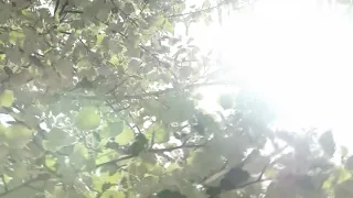 Veći broj pacijenata zbog visokih temperatura: Kada stižu padavine i niže temperature?