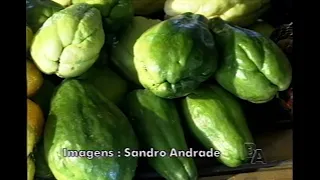 Jornal da Cidade 1999: Farmers in Atalanta were selling products without pesticides.