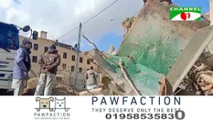 আফগানিস্তানে পাকিস্তানের বিমান হামলায় নারী শিশুসহ বেশ কয়েকজন নিহত