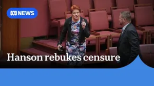 Hanson censured over no 'good' Muslims comment | ABC NEWS