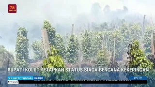 BUPATI KOLUT TETAPKAN STATUS SIAGA BENCANA KEKERINGAN