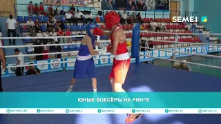YOUNG BOXERS IN THE RING