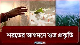 প্রকৃতিতে শরতের বার্তা, ঢাকার ব্যস্ততায় কীভাবে ধরা দিচ্ছে শরৎ? | Beauty Of Autumn | NEWS24