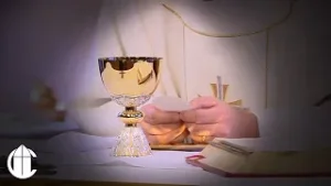 DAILY CATHOLIC MASS 1/28/26 | The Wisdom of St. Thomas Aquinas: Sowing the Word Amidst Grief