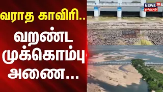 Cauvery River | Mukkombu Dam | வராத காவிரி - வறண்ட முக்கொம்பு அணை | News18Tamilnadu
