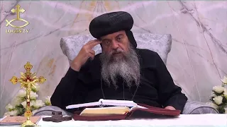 العظة الأسبوعية لنيافة الحبر الجليل الأنبا ثاؤفيلس - نوح البار