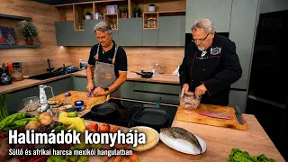 Halimádók konyhája: Süllő és afrikai harcsa mexikói hangulatban