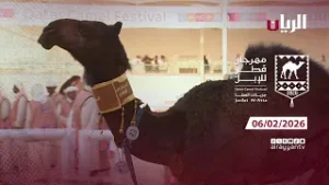 مهرجان قطر للإبل - جزيلات العطا - 06-02-2026