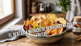 The Profitable Business of Dehydrating Your Fruit - TvAgro by Juan Gonzalo Angel