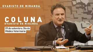 Evaristo de Miranda: September 9th - Veterinarian Day