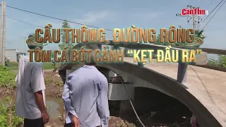 New bridges, wider roads: Shrimp and fish farmers no longer stuck with transport woes | CT-TDT