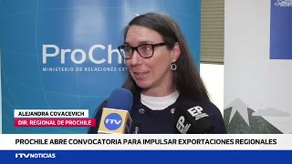 ProChile opens 2027 call for applications to support the internationalization of Magallanes compa...