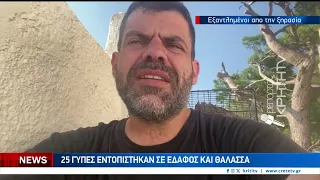 Γύπες πέφτουν στο δρόμο αφυδατωμένοι