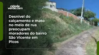 Desnível do calçamento e mato no meio de rua preocupam moradores do bairro São Vicente em Picos