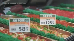 Hawaii fishing industry applauds new federal law targeting tuna fraud