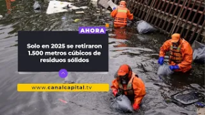 Aguas de Bogotá realiza mantenimientos y limpiezas en las zonas de humedal | Medio Ambiente