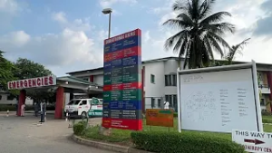 Nigerian health agency urges stronger state action on lassa fever outbreak