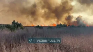 Fier/ Katër vatra zjarri në pyllin e Semanit, era favorizon flakët