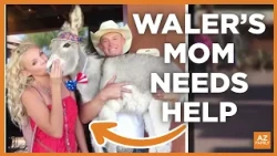 Walter the Wonder Donkey’s family seeks cancer care: How to help