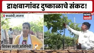 Jalna News | कडवंची गावावर पुन्हा दुष्काळाचं संकट! पाण्याअभावी द्राक्षबागा धोक्यात | Marathi News