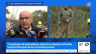 Trasplantan 37 palos borrachos de la Florida al Bosque de los Constituyentes
