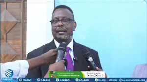 Wasiirka Dastuurka "Dastuur rasmi ah ayaan leenahay, maanta kadib ma jiro kumeelgaar, dowlad goboled