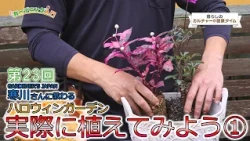 Lifestyle Culture Time: Introduction to Gardening - Episode 23