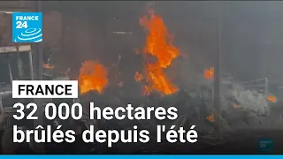 France : deux cent cinquante départs d'incendies en vingt-quatre heures • FRANCE 24