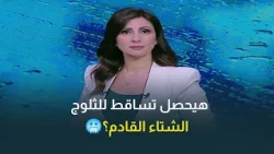 أمطار تضرب 7 محافظات .. الأرصاد تحذر من طقس الساعات القادمة