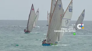 Vela Latina | PROMO - 11/07/26