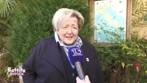 Battito Animale - 24 anni